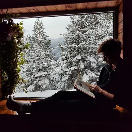 над скелею Chalet Krivorovnya