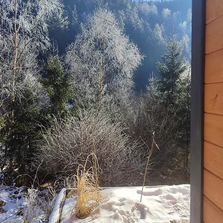 Chalet над скелею Krivorovnya