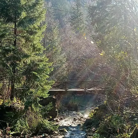 Chalet над скелею