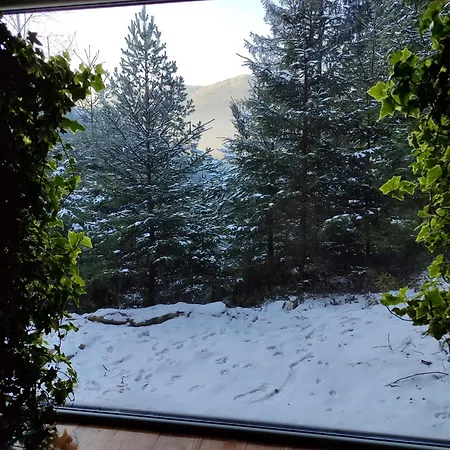 Chalet над скелею *